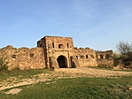 IMG_0592[1]