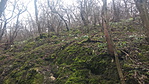 20160306_144608_resize