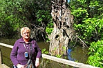 Élményeink képekben-4