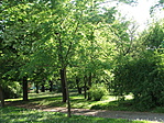 DSCF0112