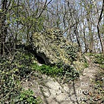 2398. Esztergom, belvárosi Kálvária-kápolna (GCEBKK) (7)