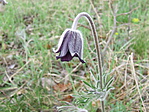 DSCF3378