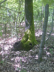 Fénykép0389