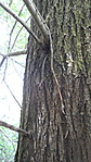 SAM_0672
