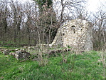 IMG_7319