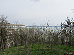 IMG_7324