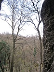 IMG_7381
