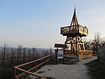 IMG_7761