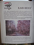 IMG_7762