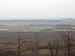IMG_7769