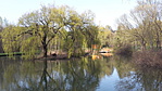 Ófalu, horgásztó