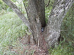 P4240019