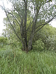 P4240022