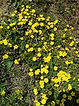 IMG_20160403_143135