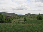 IMG_0712