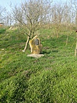 GCKERE_2016042171240.jpg