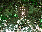 DSC02308