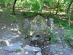 DSC02336