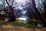 gckuke-IMG_5458