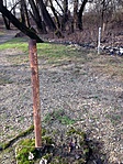 gckuke-IMG_5457