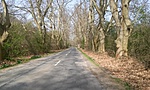 20160404_111926