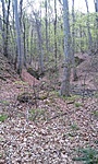 20160404_172113