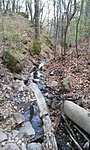 20160404_172123