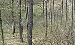 20160405_162153
