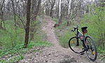 20160410_101939