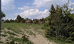 20160423_141006