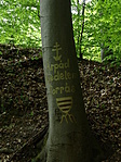 DSCF0031