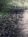 IMG_0975