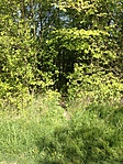 IMG_0055[1]