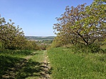 IMG_0056[1]