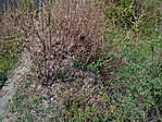 IMG_20160407_113638