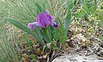 20160416_170326