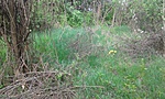 20160417_090400