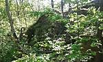20160421_093502