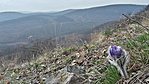 20160305_151002_Richtone(HDR)