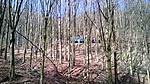 WP_20160403_004