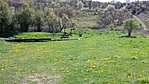 20160415_102736