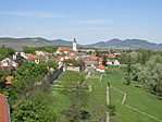 IMG_1278
