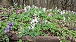 20160402_121321