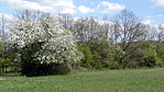 DSC05597