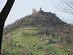 IMG_0116