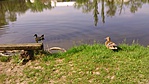 DSC_1036