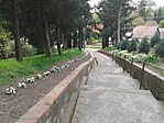 20160417_162759
