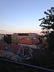 IMG_0088