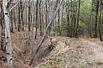 IMG_4344