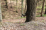 IMG_4373